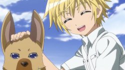 Заключительная серия аниме Собачьи дни / Dog Days' (2012) ТВ2