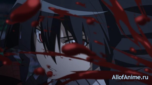 Убийца Акаме! / Akame ga Kill! (2014)