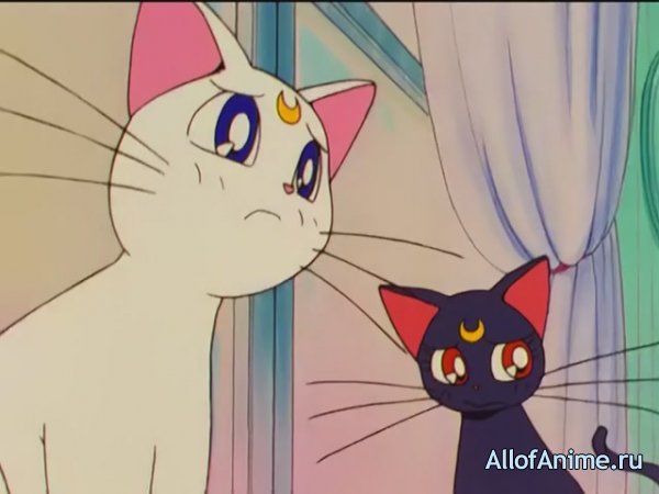 Красавица-воин Сейлор Мун (второй сезон) / Bishoujo Senshi Sailor Moon R (1993)